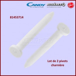Pivots couvercle pour lave-linge lot de 2 pivots Candy 49033811