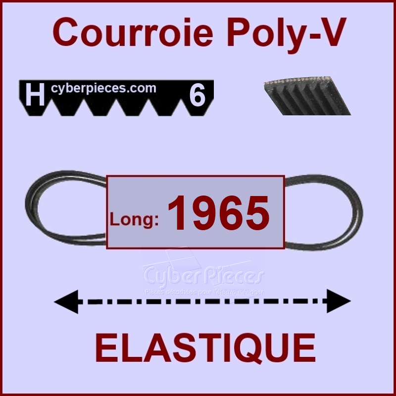 Courroie 1965H6 - EL - élastique