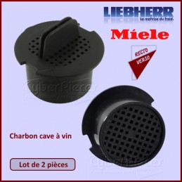 Filtre à charbon(x2) compatible LIEBHERR 9096342