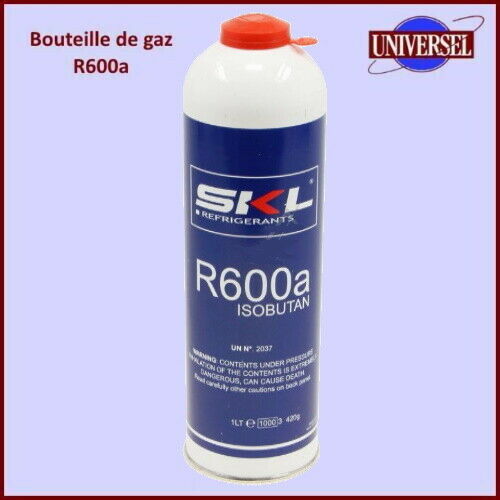 R600A Bouteille de gaz 420Gr