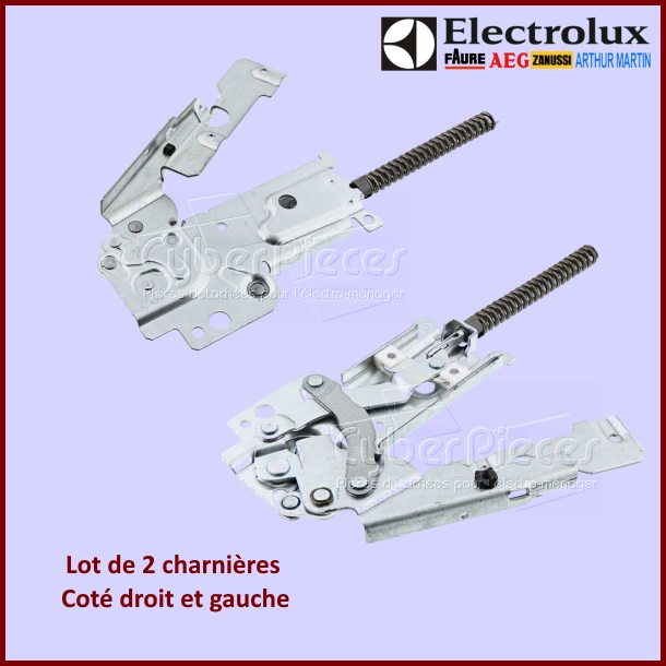 Lot de 2 charnières Electrolux 4055076535