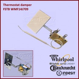 Thermostat damper FSTB...