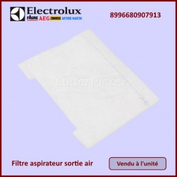 Microfiltre Electrolux 8996680907913 CYB-292122