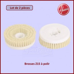 Lot de 2 brosses Z15 à...