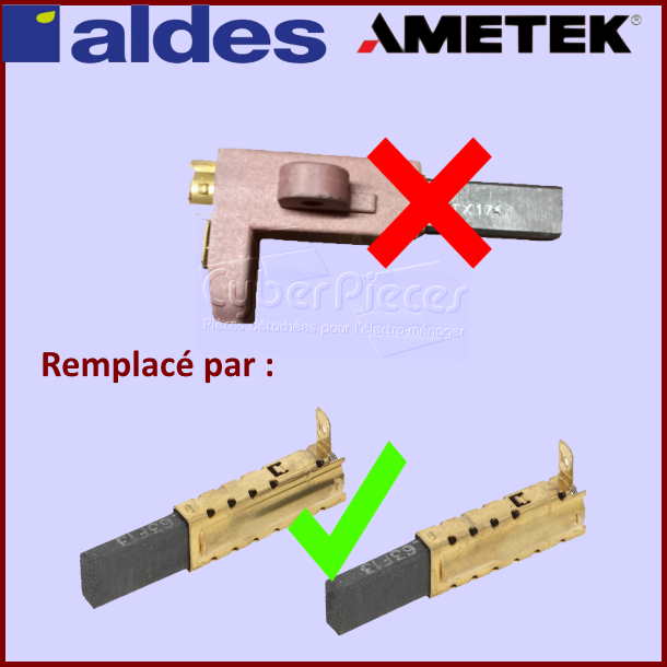 Lot de 2 Charbons  pour moteur Aldes (Cyb-055284)