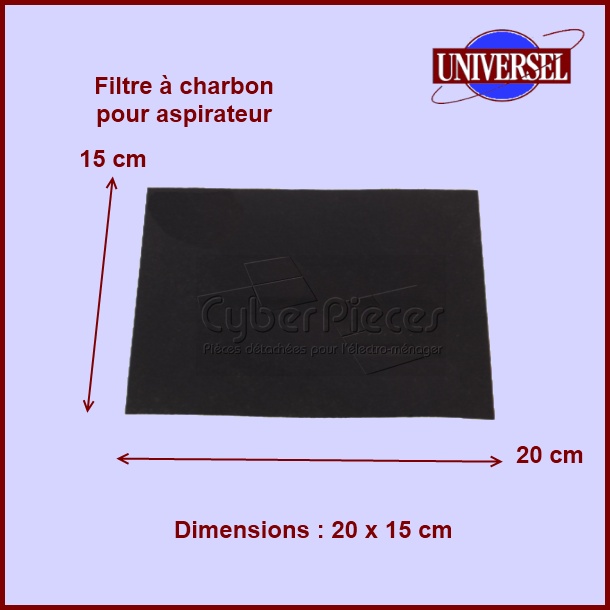 Filtre à charbon d'aspirateur