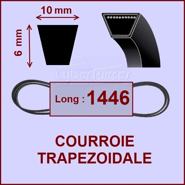 Courroie trapézoïdale 10x6x1446