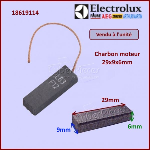 Charbon moteur 29x9x6mm
