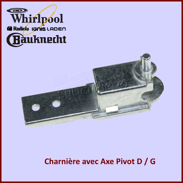 Charnière Inférieure avec Axe Pivot 488000480965