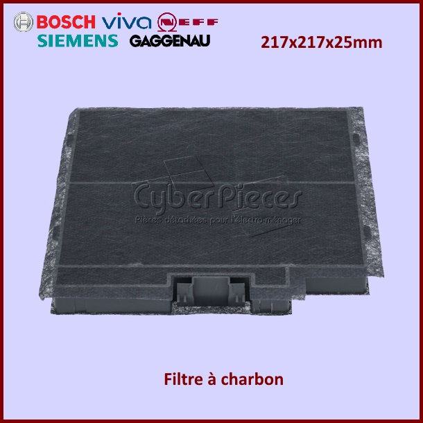 Filtre à charbon Bosch 11022296