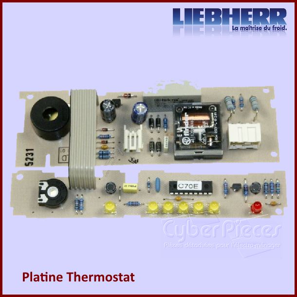 Carte Electronique Liebherr 6113632