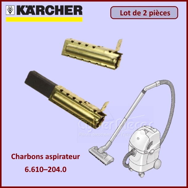 Lot de 2 charbons Karcher 66102040
