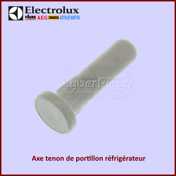 Axe de portillon Electrolux 2006431007