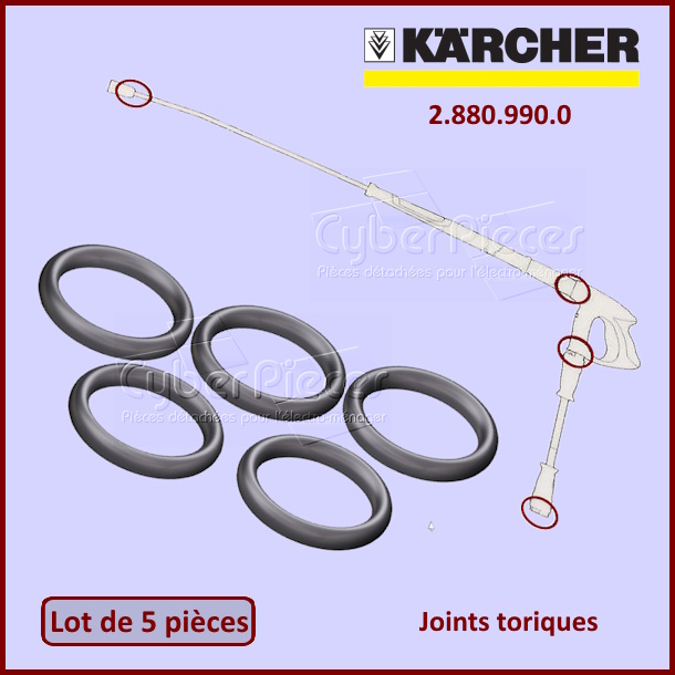 Lot de 5 joints Karcher 28809900