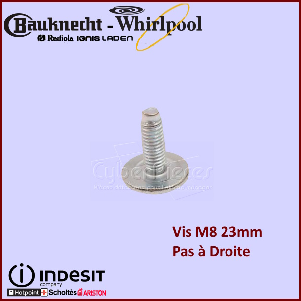 Vis de poulie M8x22 C00143260  140001003015