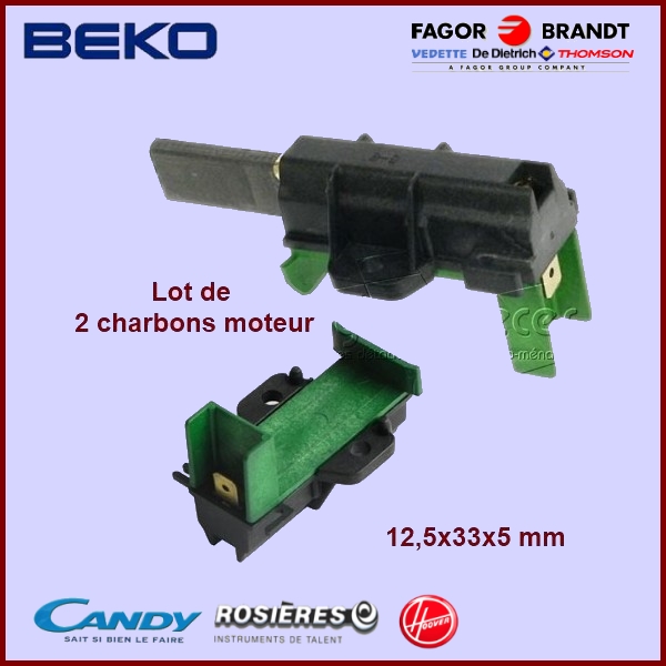 Lot de 2 Charbons moteur Beko 49028930