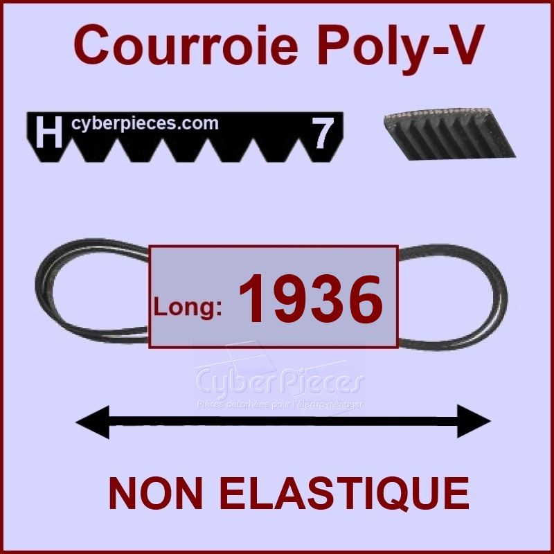 Courroie 1936H7 - non élastique