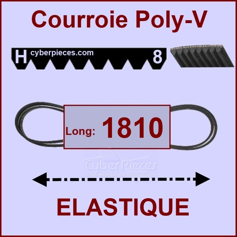 Courroie 1810H8 - EL- élastique