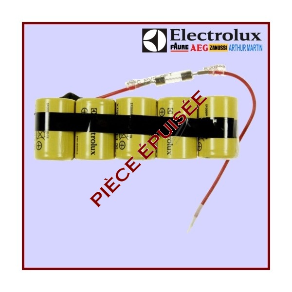 Batterie Rechargeable + Fusible 4055019105 Ergorapido