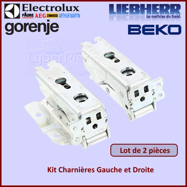 Kit Charnières Gauche et Droite Electrolux 4055504197