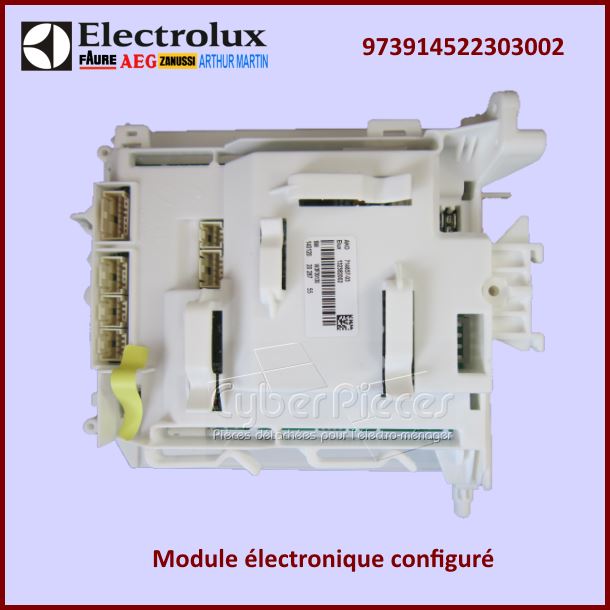 Carte électronique configurée Electrolux 973914522303002