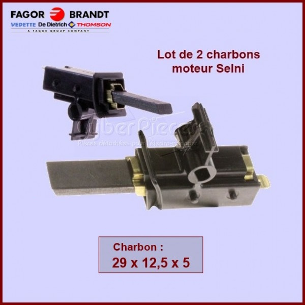 Charbons moteur (SELNI)  avec support 28x12,5x5mm