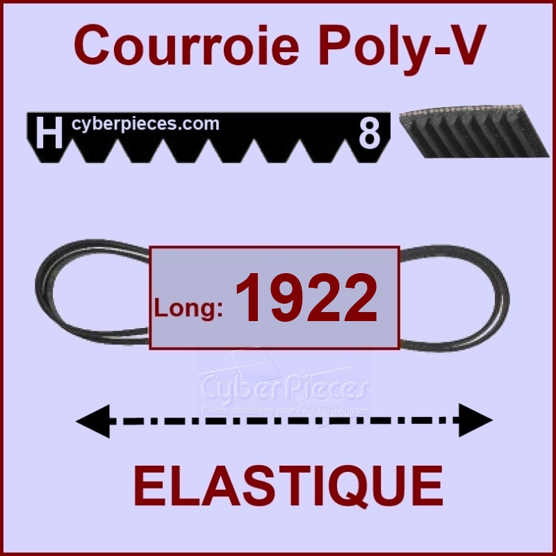 Courroie 1922H8 - EL- élastique