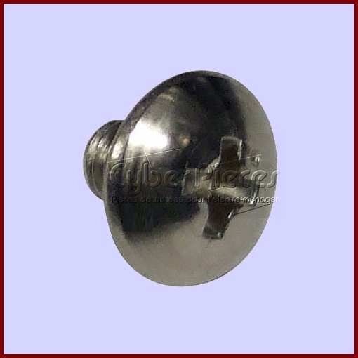 Vis De Fixation Plaquette Mica  XST4+5VS