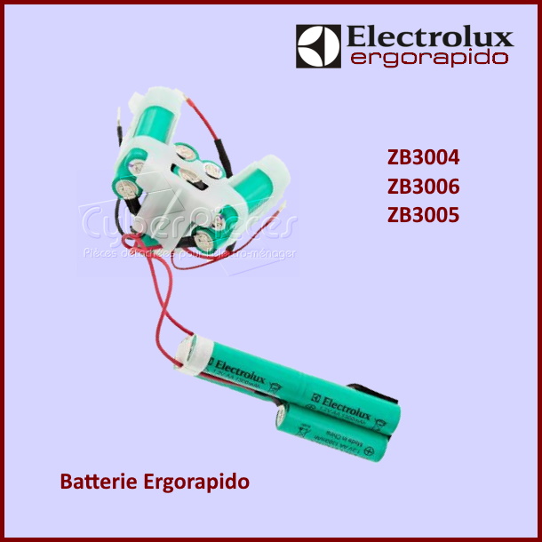 Batterie Ergorapido Electrolux 2199035029