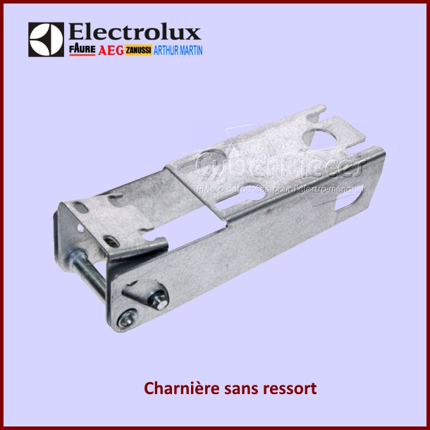 Charnière sans ressort Electrolux 2912884364