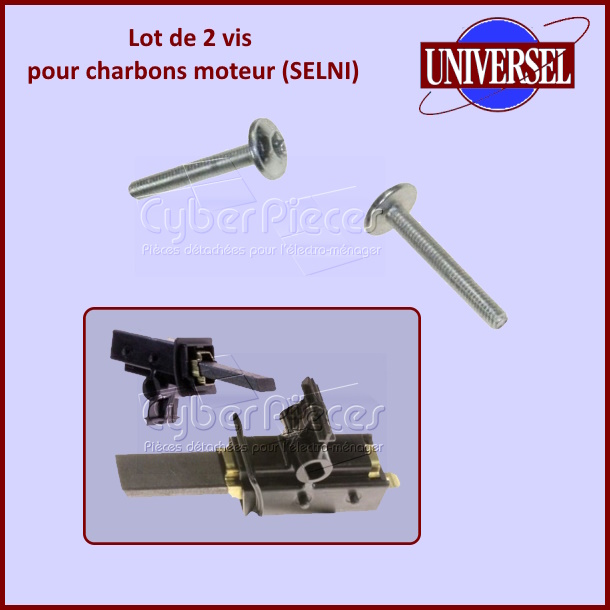 Lot de 2 Vis pour Charbons moteur (SELNI)