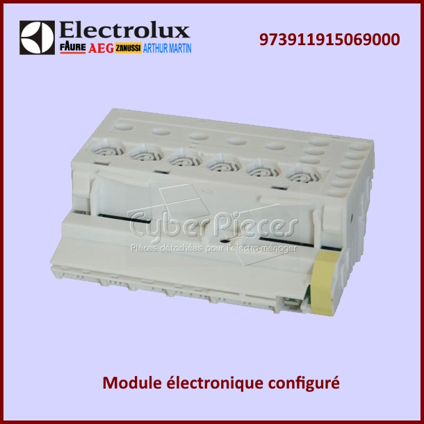 Carte électronique configurée Electrolux 973911915069000