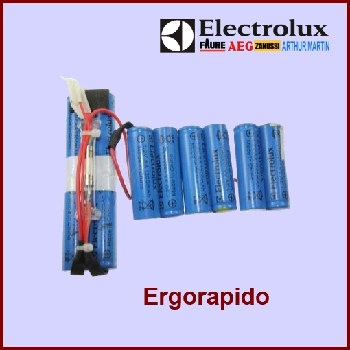 Kit Complet Batterie Pour Ergorapido 4055132304