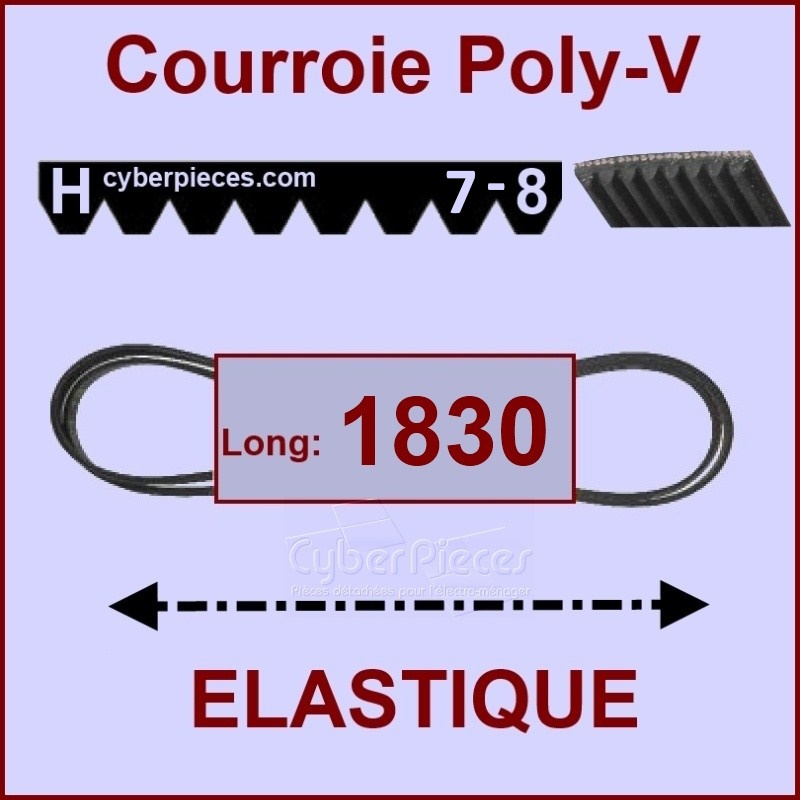 Courroie 1830H8 - EL - élastique