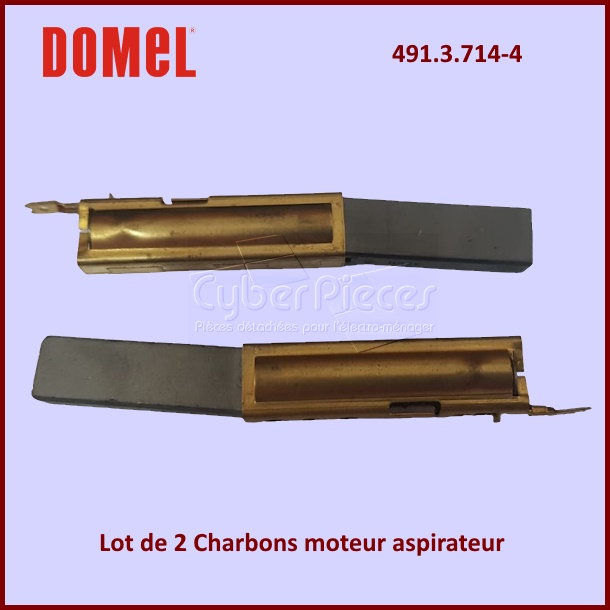 Lot de 2 Charbons Domel 491.3.714-4