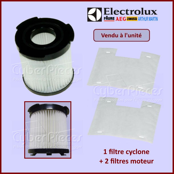 Filtre cyclone F100 Electrolux 9001966143