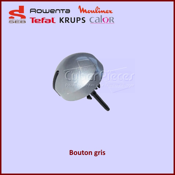 Bouton gris SEB ROWENTA SS-183087