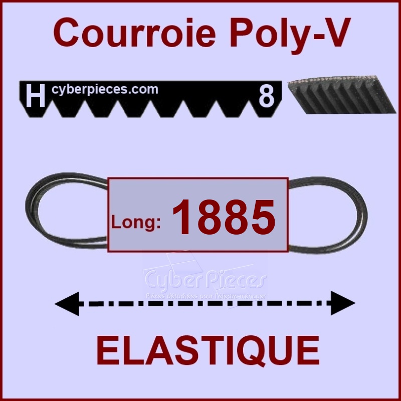 Courroie 1885H6-1885H8 - EL - élastique