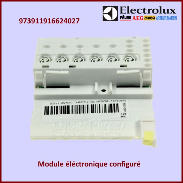 Carte électronique EDW15 configuré Electrolux 973911916624027