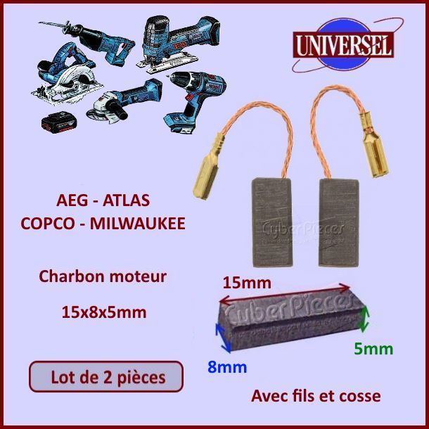 Lot de 2 Charbons moteur 15x8x5mm